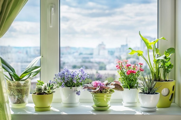 Use Plants and Greenery